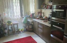 Vilă de vanzare, cu 6 camere, 230 mp, zona Samurcași