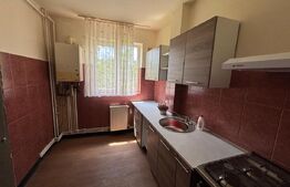 Apartament de vanzare, cu 2 camere, 46 mp, zona Aleea Trandafirilor