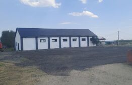 🏭 Hală industrială 370 mp + teren 10.000 mp | DN72 Suta Seaca 