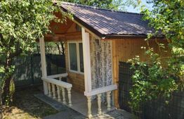 Vilă în exclusivitate, de vanzare, 160 mp, zona Doicești