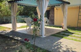 Vilă în exclusivitate, de vanzare, 160 mp, zona Doicești