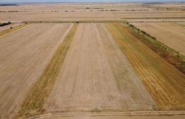 Teren Intravilan, de vanzare, 7500 mp, zona Mircea Voda