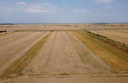 Teren Intravilan, de vanzare, 7500 mp, zona Mircea Voda