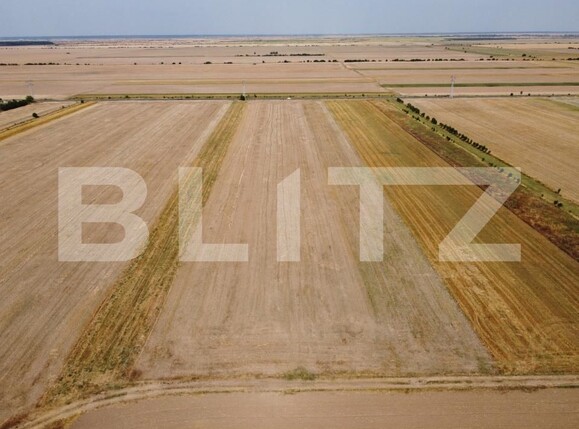 Teren de vânzare Exterior Sud - 174719TV | BLITZ Târgoviște | Poza2