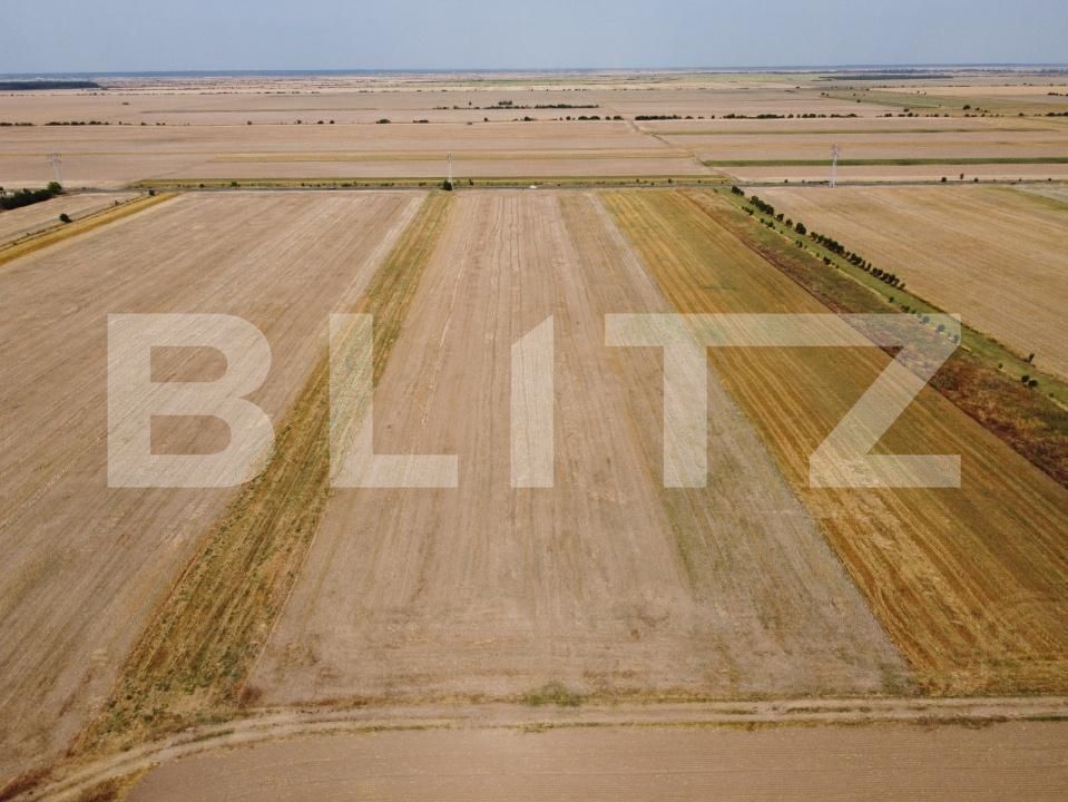 Teren de vânzare Exterior Sud - 174719TV | BLITZ Târgoviște | Poza2