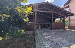 🏡 Casă de vacanță complet renovată | Lângă Mănăstirea Dealu 