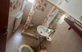 Apartament spațios 2 camere, mobilat, renovat complet – FIeni