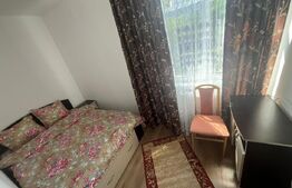 Apartament spațios 2 camere, mobilat, renovat complet – FIeni