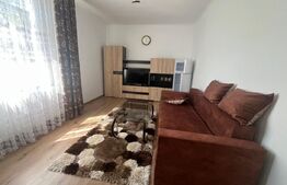 Apartament spațios 2 camere, mobilat, renovat complet – FIeni