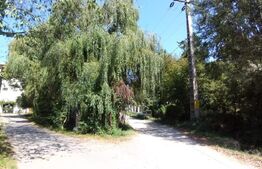 Oportunitate de investiție într-o zonă cu valoare istorică, spirituală Viforata