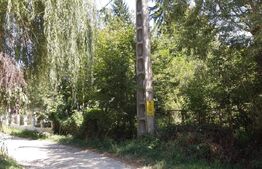 Oportunitate de investiție într-o zonă cu valoare istorică, spirituală Viforata