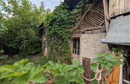 Bucșani 80mp, teren 2540mp casă de renovat