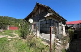 Casă de vanzare, cu 2 camere, 67 mp utili, teren 2.219 mp – Fieni