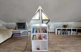 Casă individuală de vânzare în exclusivitate – Tomsani, Dâmbovița 