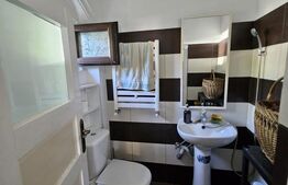 Casă individuală de vânzare în exclusivitate – Tomsani, Dâmbovița 