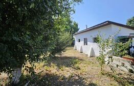 Casă individuală de vânzare în exclusivitate – Tomsani, Dâmbovița 