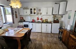 Casă individuală de vânzare în exclusivitate – Tomsani, Dâmbovița 