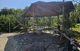 Casă individuală de vânzare în exclusivitate – Tomsani, Dâmbovița 