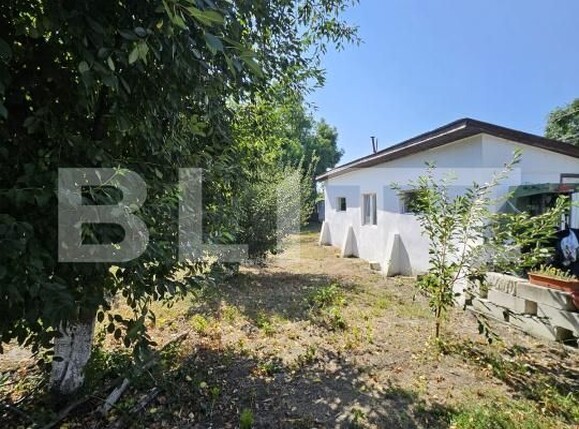 Casa de vânzare 4 camere Exterior Sud - 175816CV | BLITZ Târgoviște | Poza24
