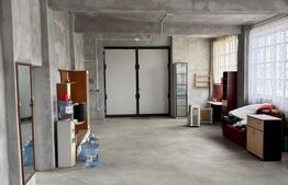 Spațiu industrial + spații de cazare/birouri de închiriat – 8000 mp teren 2 hale