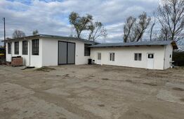 Spațiu industrial + spații de cazare/birouri de închiriat – 8000 mp teren 2 hale