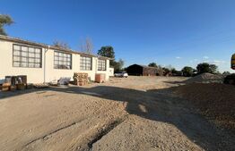 Spațiu industrial + spații de cazare/birouri de închiriat – 8000 mp teren 2 hale