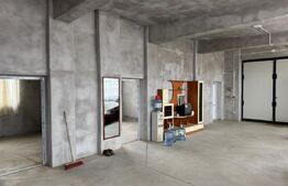 Spațiu industrial + spații de cazare/birouri de închiriat – 8000 mp teren 2 hale