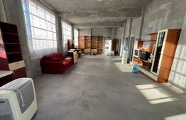 Spațiu industrial + spații de cazare/birouri de închiriat – 8000 mp teren 2 hale