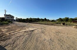 Spațiu industrial + spații de cazare/birouri de închiriat – 8000 mp teren 2 hale