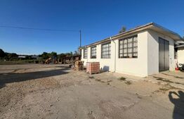 Spațiu industrial + spații de cazare/birouri de închiriat – 8000 mp teren 2 hale