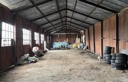 Spațiu industrial + spații de cazare/birouri de închiriat – 8000 mp teren 2 hale