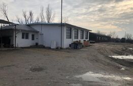 Spațiu industrial + spații de cazare/birouri de închiriat – 8000 mp teren 2 hale