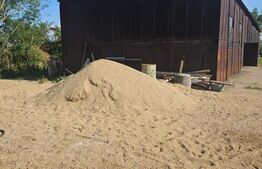 Spațiu industrial + spații de cazare/birouri de închiriat – 8000 mp teren 2 hale