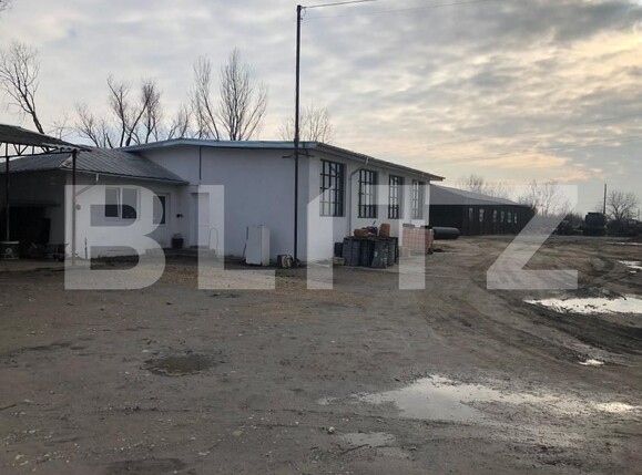Spațiu industrial de închiriat Exterior Nord - 176280SII | BLITZ Târgoviște | Poza7