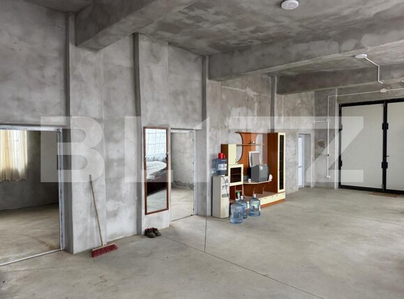 Spațiu industrial de închiriat Exterior Nord - 176280SII | BLITZ Târgoviște | Poza10