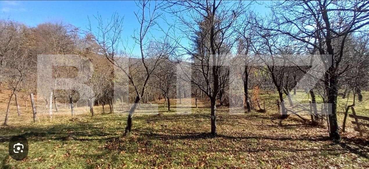 Teren de vânzare Exterior Nord - 176418TV | BLITZ Târgoviște | Poza1