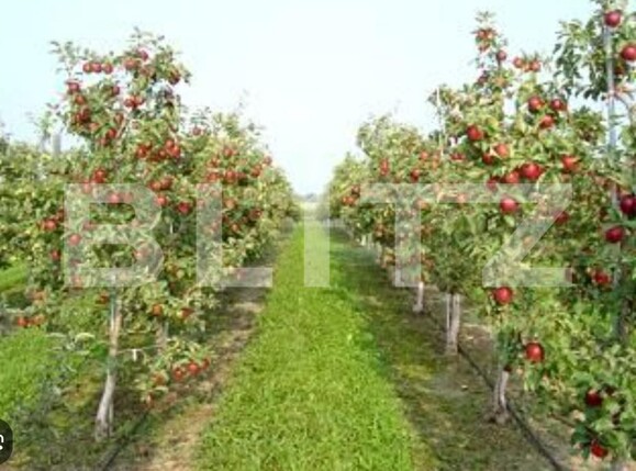 Teren de vânzare Exterior Nord - 176427TV | BLITZ Târgoviște | Poza1