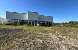 Hale industriale de închiriat – 2.300 mp teren, 2 hale  curte și deschidere 50 m