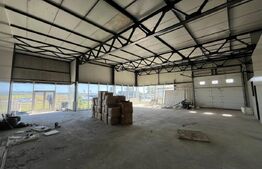 Hale industriale de închiriat – 2.300 mp teren, 2 hale  curte și deschidere 50 m