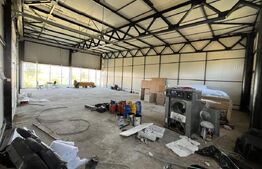 Hale industriale de închiriat – 2.300 mp teren, 2 hale  curte și deschidere 50 m