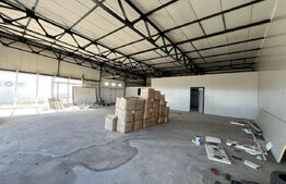 Hale industriale de închiriat – 2.300 mp teren, 2 hale  curte și deschidere 50 m