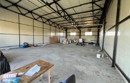 Hale industriale de închiriat – 2.300 mp teren, 2 hale  curte și deschidere 50 m
