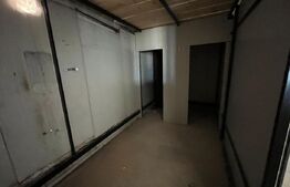 Hale industriale de închiriat – 2.300 mp teren, 2 hale  curte și deschidere 50 m