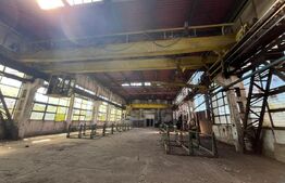 Hală industrială de închiriat, 1.000 mp + teren 5.000 mp