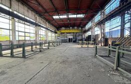 Hală industrială de închiriat, 1.000 mp + teren 5.000 mp