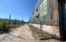 Hală industrială de închiriat, 1.000 mp + teren 5.000 mp