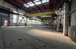 Hală industrială de închiriat, 1.000 mp + teren 5.000 mp