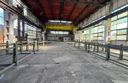 Hală industrială de închiriat, 1.000 mp + teren 5.000 mp