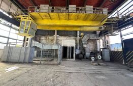 Hală industrială de închiriat, 1.000 mp + teren 5.000 mp