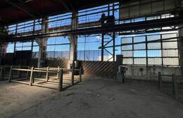 Hală industrială de închiriat, 1.000 mp + teren 5.000 mp